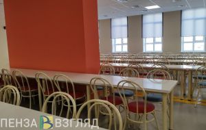 В Пензе утвердили порядок обеспечения детей с ОВЗ бесплатным питанием