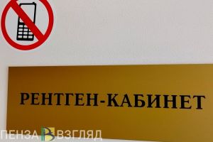 В Пензенской области за 4 года ввели в эксплуатацию 217 объектов здравоохранения