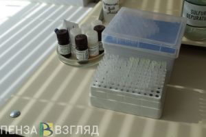 Риск заразиться метапневмовирусом останется с пензенцами навсегда