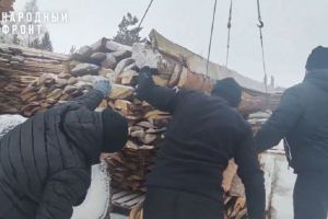 Жители Городищенского района отправили 40 кубометров древесины в зону СВО