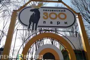 В Пензенском зоопарке проживают 3235 обитателей