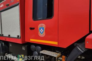 В 2024 году при пожарах на территории Пензенской области погибли 87 человек