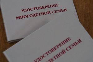 2,5 тысячи пензенских многодетных семей оформили удостоверение