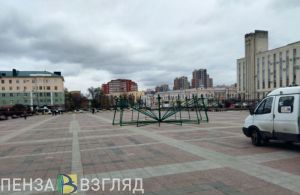 Демонтаж елки на пл. Ленина в Пензе обойдется почти в 1 млн рублей