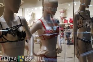 Пензенцев перед покупкой «товаров для взрослых» проверят на «Госуслугах»