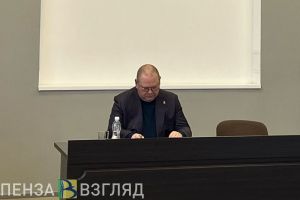 Мельниченко отметил важность развития опорных пунктов в Пензенской области