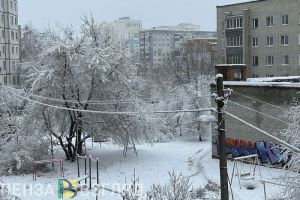 16 января в Пензенской области синоптики прогнозируют похолодание и снег