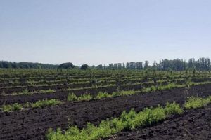 Бековский район активно осваивают инвесторы