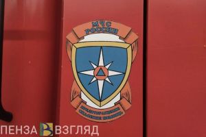 В Сосновоборском районе при пожаре погиб пенсионер