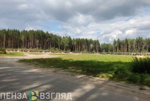 Зареченцам объяснили, почему понадобилось вырубать деревья рядом с кладбищем