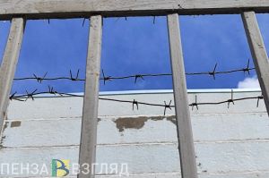 В Пензенской области число тяжких преступлений сократилось за год на 15%