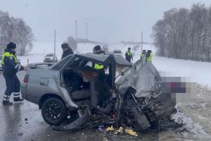 Смертельное ДТП, подготовка крещенских купелей, лечение пензенцев с редкой болезнью кожи – новости Пензы и области за 17 января