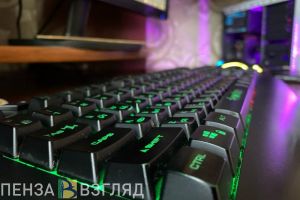 Пензенские родители узнали, как мошенники обманывают юных геймеров
