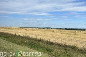 Зерно из Пензенской области экспортировали в Китай, Германию и Латвию