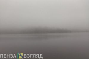 18 января на Пензенскую область опустится густой туман