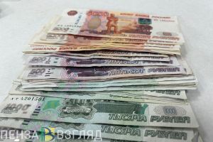 Жителей Пензенской области опросят о фактических доходах