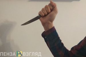 Пензенская область заняла 27-е место в рейтинге по уровню преступности