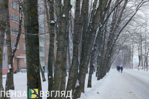 21 января в Пензенской области прогнозируют мощный ветер