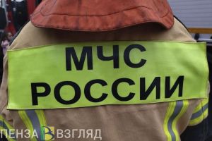 За прошедшие сутки в Пензенской области ликвидировали 2 пожара