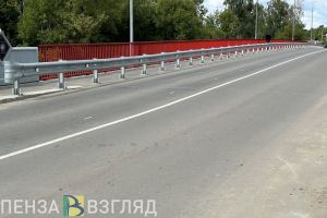 Многодетных пензенцев могут освободить от платы за проезд по платным дорогам