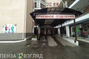 В Пензенской области от ковида за неделю умерли два человека