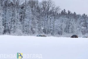 Пензенских водителей просят далеко не ездить в сильный мороз