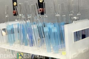 В Пензенской области зарегистрировали случаи свиного гриппа