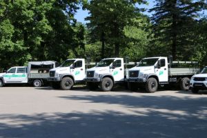 За год ущерб от лесных пожаров в Пензенской области превысил 17 млн рублей