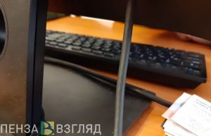 Прокуратура выявила нарушения в деятельности пензенского минлесхоза