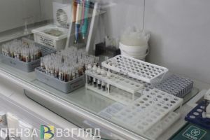В Пензенской области клещи могут активизироваться раньше обычного