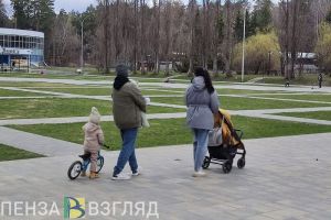 23 января могут объявить в России Днем многодетной семьи