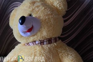 Для жительниц Пензенской области моложе 25 лет предложили повысить маткапитал
