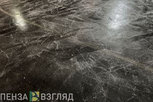 Прокуратура Вадинского района проводит проверку после падения девочки на льду