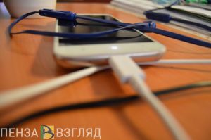 Пензенцев предупредили о вредоносном «Мамонте»