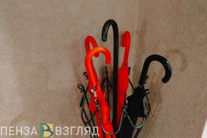 27 января пензенцев ожидают плюсовая температура и дождь