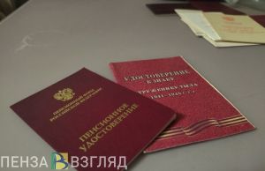 Названы категории пензенцев, которым повысят пенсии с 1 апреля