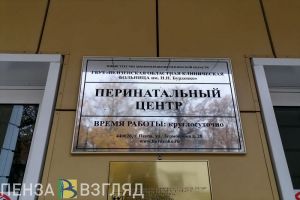 В Пензенской области резко снизился показатель младенческой смертности