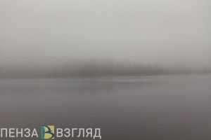В ближайшие часы на Пензенскую область опустится густой туман