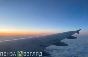 Самолет не смог вылететь из Минвод в Пензу из-за технической неисправности