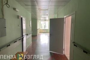 За неделю в Пензенской области зафиксированы две смерти от ковида