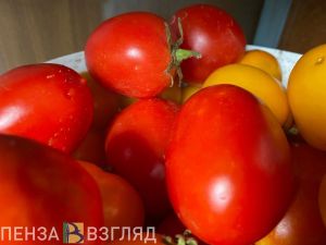 В Пензенской области из-за погодных аномалий может пострадать урожай