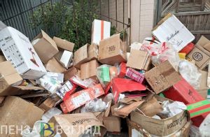 В Пензенской области выявили более 1,3 тыс. нарушений в сфере обращения с ТКО