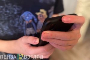 К 2030 году связь обеспечат во всех малонаселенных пунктах Пензенской области