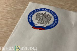 Пензенцы узнали, как в 2025 году подтвердить расходы для налоговых вычетов