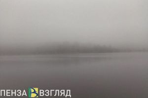 30 и 31 января на территорию Пензенской области опустится плотный туман