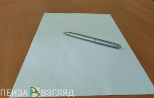В Пензе утвердили перечень мер поддержки добровольцев