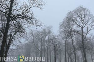 1 февраля на территории Пензенской области ожидается густой туман