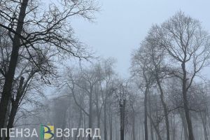 В ночь на 2 февраля на Пензенскую область опустится туман