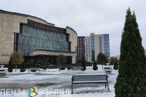 3 февраля в Пензенской области пойдет снег с дождем