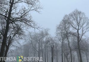 Пензенцы узнали, почему в России не отмечают День сурка